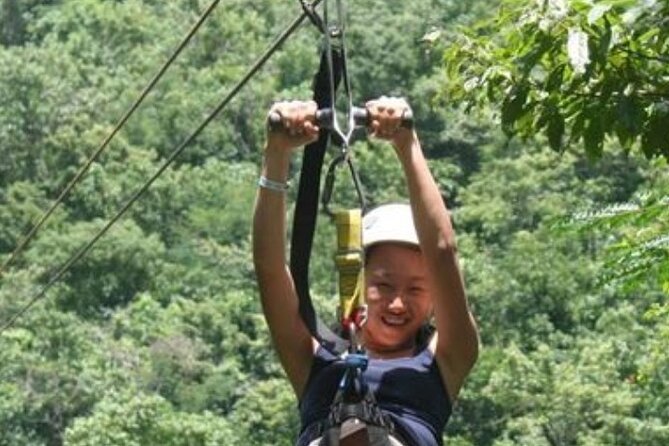 Blue Hole, Zipline and Dunn's River Falls from Falmouth - Ziplining gives you a different view