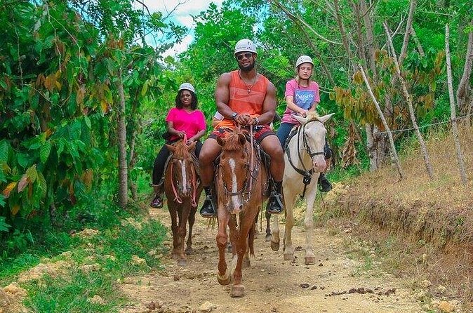 Buggy, Horse and Zip Line with Lunch included from Punta Cana - What to know about the rough edges