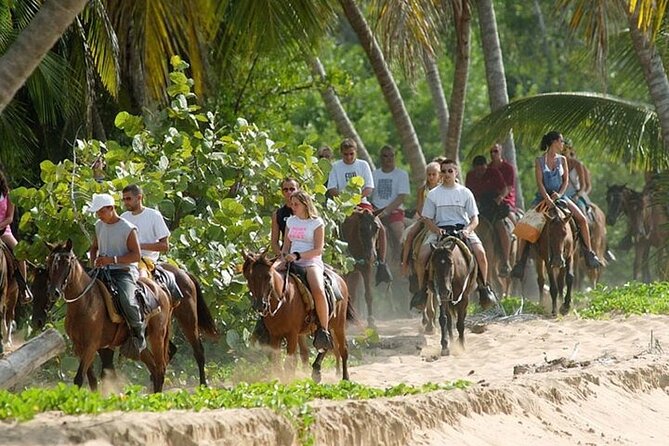 Buggy Horses and Zip Line from Punta Cana with Lunch Included - Three Punta Cana Adventures in One Morning