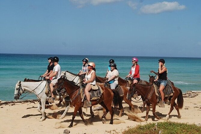 Buggy Horses and Zip Line from Punta Cana with Lunch Included - Eight Zip Lines Near Macao Beach