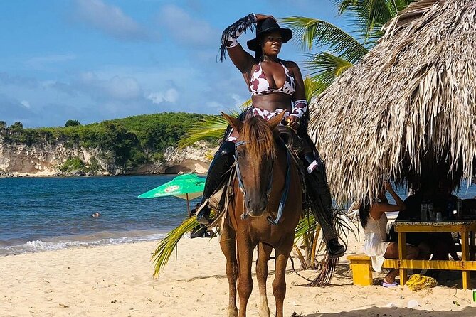 Buggy Horses and Zip Line from Punta Cana with Lunch Included - Horseback Riding Through the Dominican Countryside