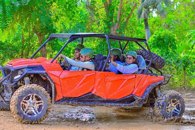 Buggy Horses and Zip Line from Punta Cana with Lunch Included - What the Feedback Says About the Experience