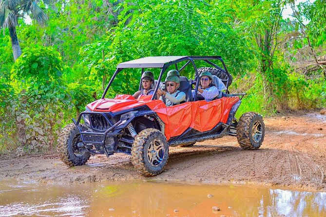 Buggy Horses and Zip Line from Punta Cana with Lunch Included - Who Will Get the Most From This Tour