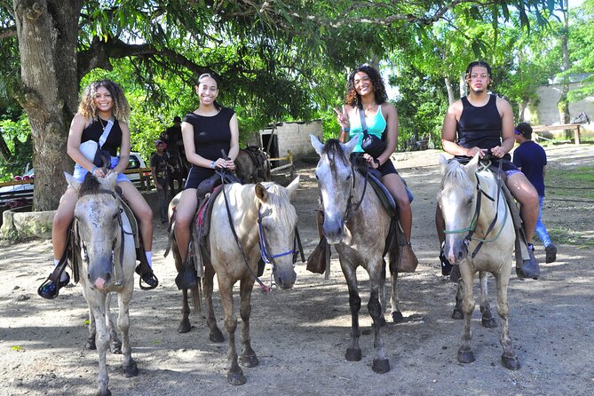 Buggy Ride, Horseback, Zipline,Eco Farm,Macao Beach - A six-hour Punta Cana day with plenty packed in