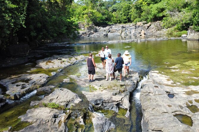 Buggy Ride, Horseback, Zipline,Eco Farm,Macao Beach - Macao Beach as the final stop
