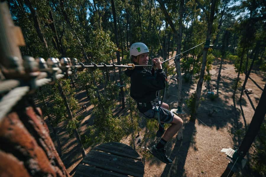 Busselton: Forest Adventure with Zip Lining and Rope Course - Starting low, then working toward 19 metres