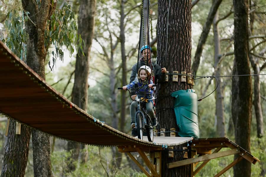 Busselton: Forest Adventure with Zip Lining and Rope Course - Why the forest setting improves the experience