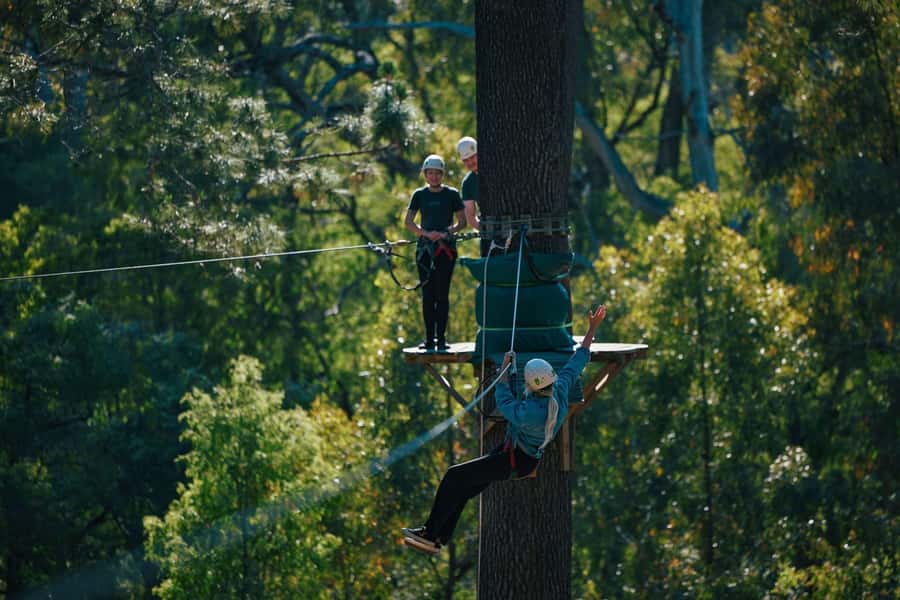 Busselton: Forest Adventure with Zip Lining and Rope Course - Who will enjoy this most