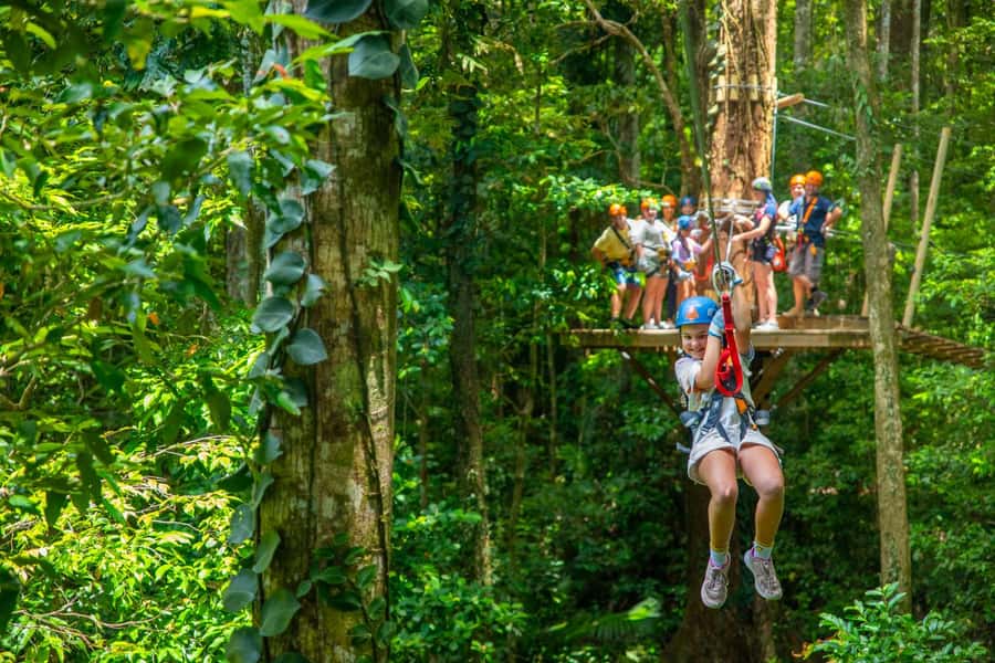Cairns: Daintree Rainforest Canopy Ziplining Tour - Finishing with the dual zipline