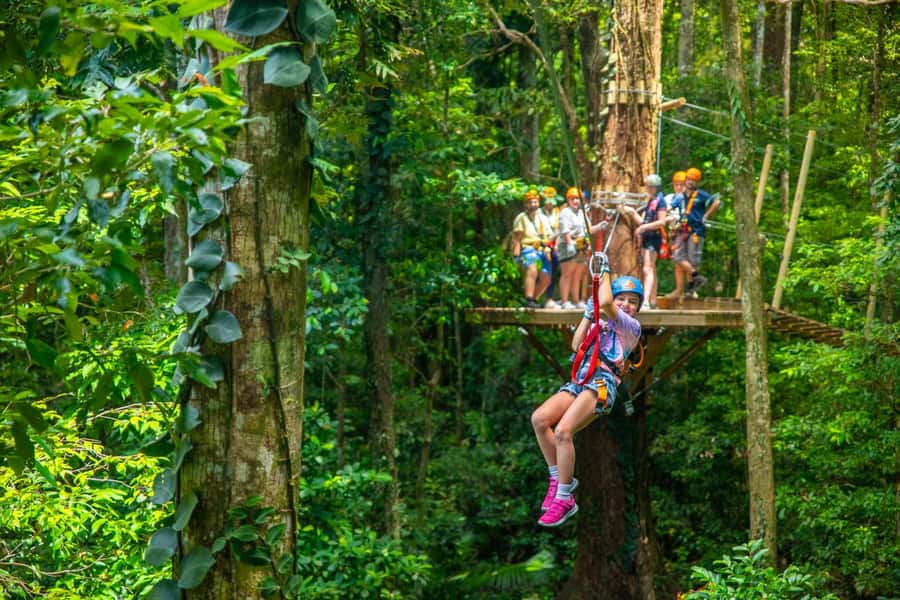Cairns: Daintree Rainforest Canopy Ziplining Tour - What the $102 price really buys