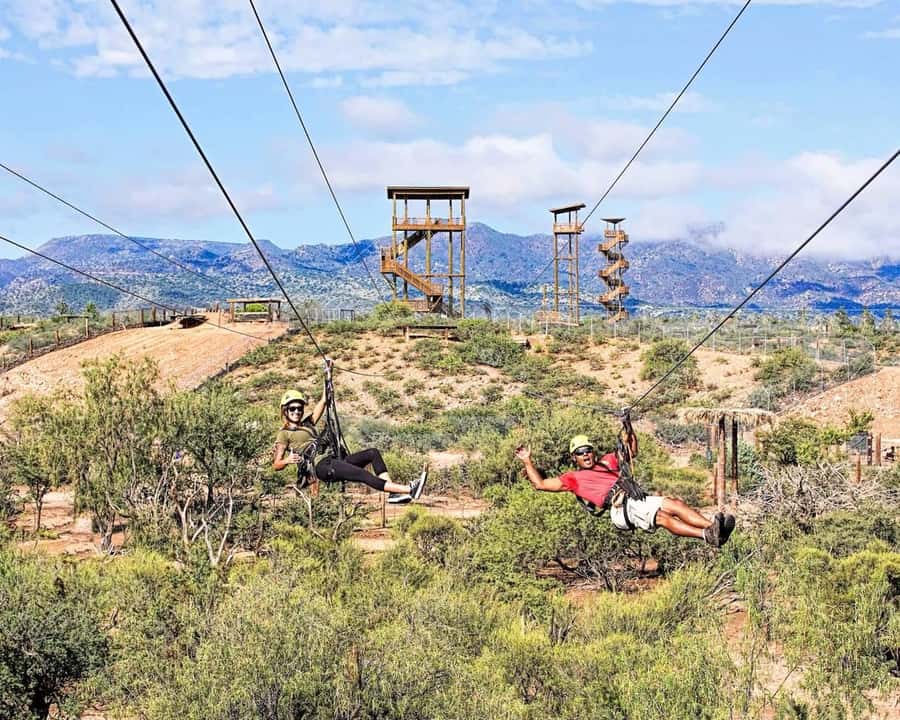 Camp Verde: Predator Zip Lines Guided Tour - Flying over lions instead of trees