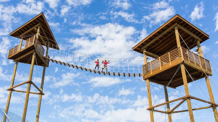 Camp Verde: Predator Zip Lines Guided Tour - Animal viewing from a very different angle