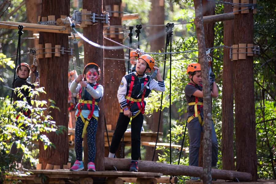 Canberra: Majura Pines Junior Tree Ropes Course - A junior course built for small adventurers
