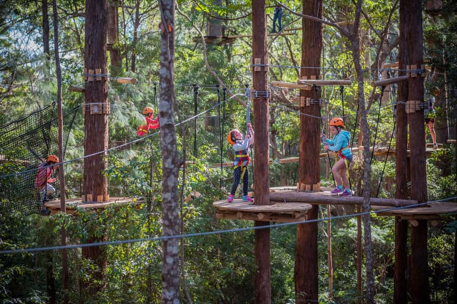 Canberra: Majura Pines Junior Tree Ropes Course - Safety equipment and the first briefing