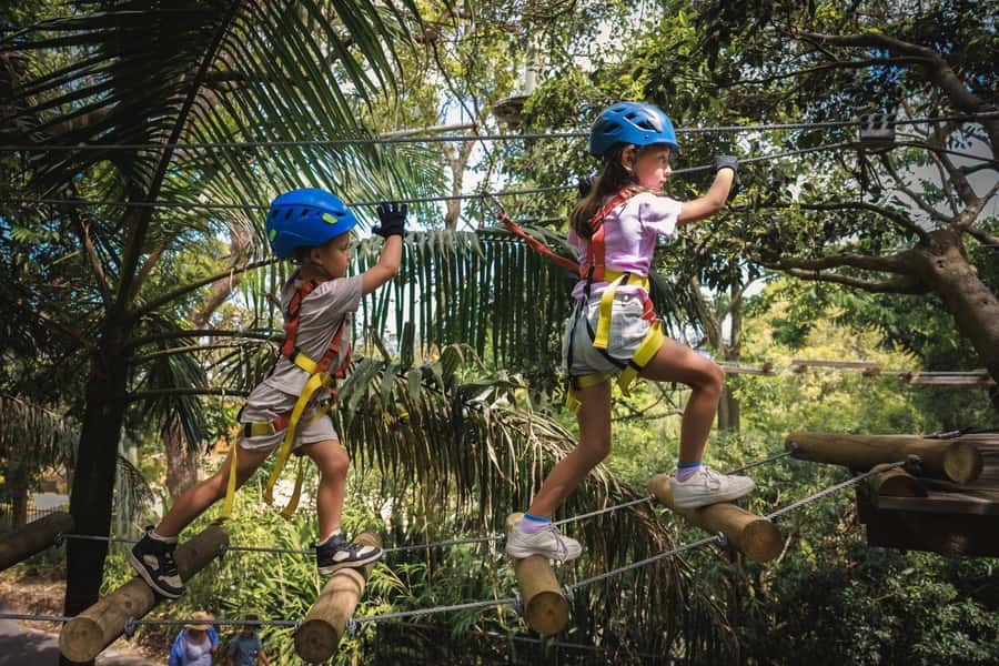 Canberra: Majura Pines Junior Tree Ropes Course - Starting at Treetops Adventure reception