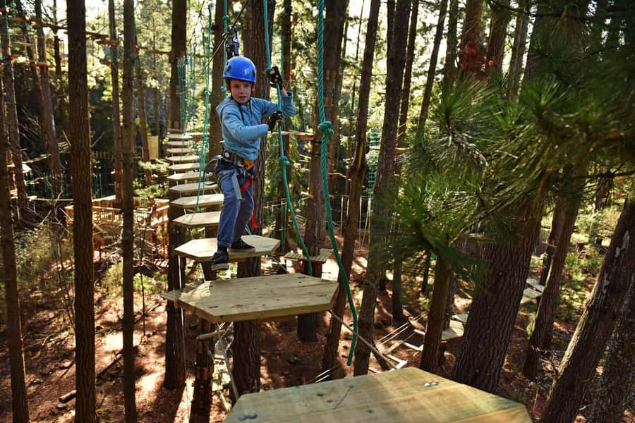 Canberra: Majura Pines Tree Ropes Course - Key points at a glance