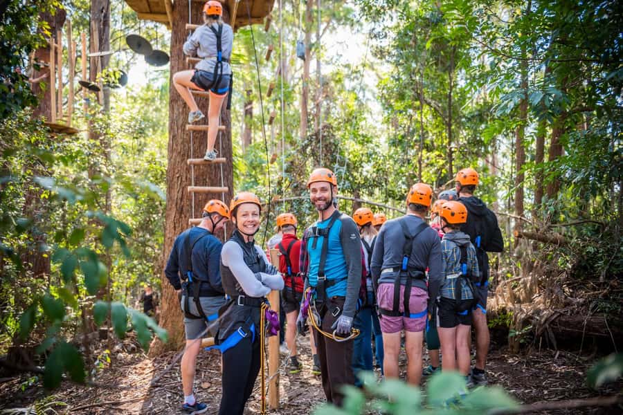 Canberra: Majura Pines Tree Ropes Course - What the Majura Pines course is really like