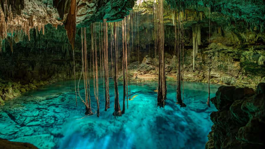 Cancun: Tropical ATV Tour with zip lines and swimming in Cenote - Six zip lines above the trees