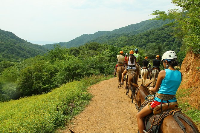 Canopy River Zipline Tour and Mule Ride - What the zipline course demands from you