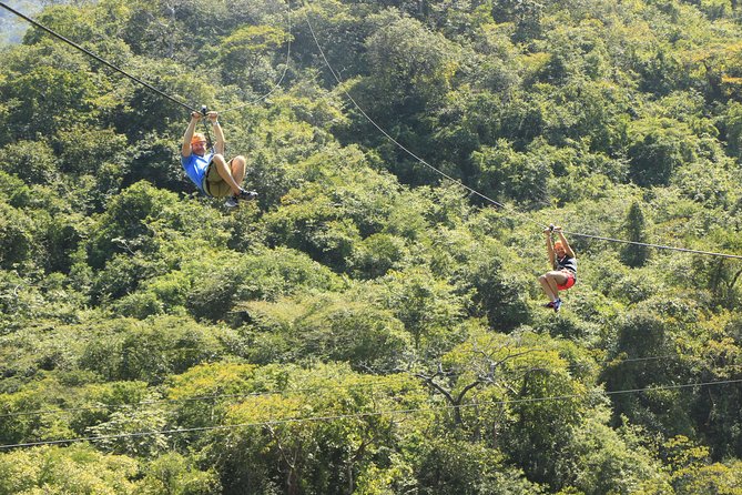Canopy River Zipline Tour and Mule Ride - Who will enjoy this most