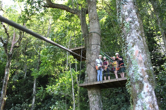 Canopy Tour with Superman and Tarzan Swing in La Fortuna - Nine or ten cables through the treetops