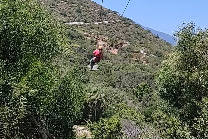 Canopy Ziplines Tour in Las Cañadas Private Tour - How the $89 price holds up