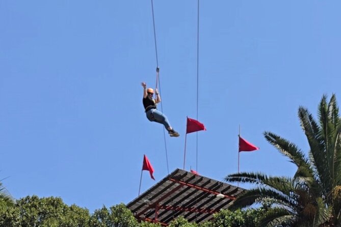 Canopy Ziplines Tour in Las Cañadas Private Tour - The return ride and time at the port