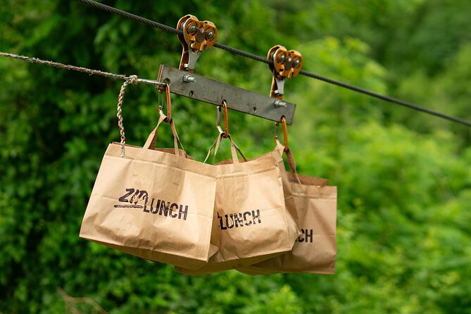 Canyon Zip Line - Is $36.30 good value?