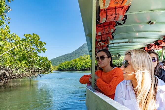 Cape Tribulation & Ziplining: Ultimate Daintree - Why this is a useful way to see the Daintree