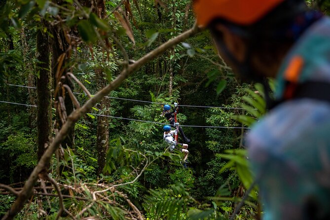 Cape Tribulation & Ziplining: Ultimate Daintree - Morning tea and lunch that keep the day practical