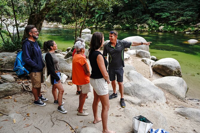 Cape Tribulation & Ziplining: Ultimate Daintree - The drive is part of the experience