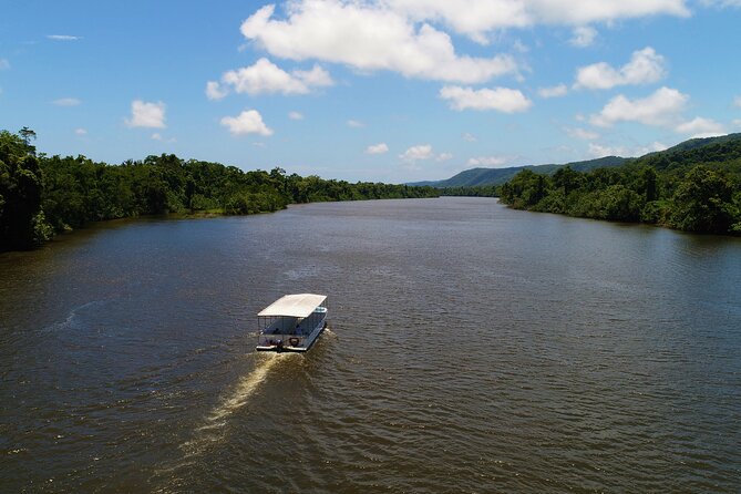 Cape Tribulation & Ziplining: Ultimate Daintree - Is the $233.82 price fair?