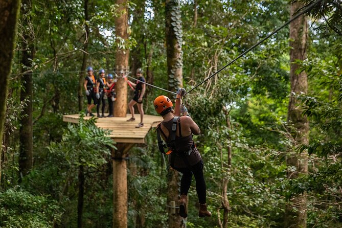 Cape Tribulation & Ziplining: Ultimate Daintree - Who should book this day?