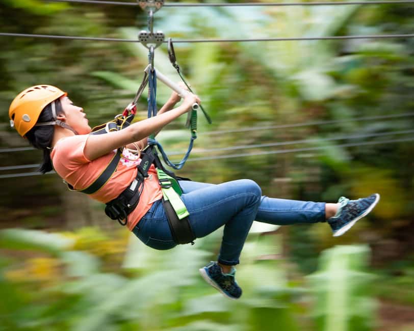 Castries, St. Lucia - Adrenaline Zipline - Who will enjoy this course most?