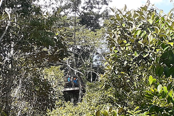 Cave Kayaking or tubing, Ziplines and Altun Ha V.i.V. - Key points at a glance