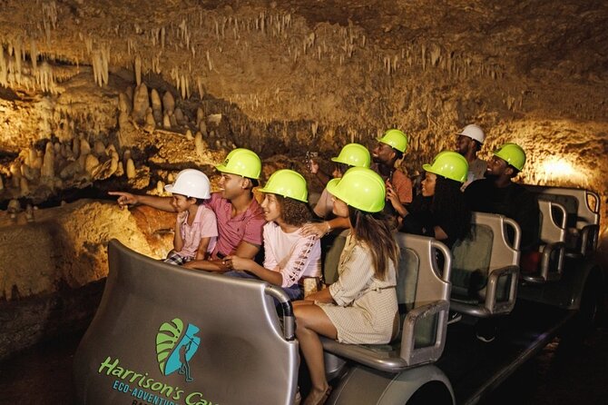 Cave & Monkey Zipline Experience at Harrison's Cave by Chukka - Key points at a glance