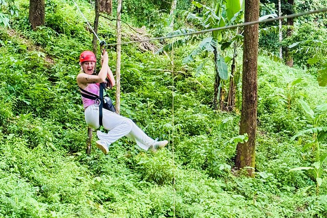 Chiang Mai 3 in 1 Zipline, Elephants and Sticky Waterfall - Meeting rescued elephants under supervision