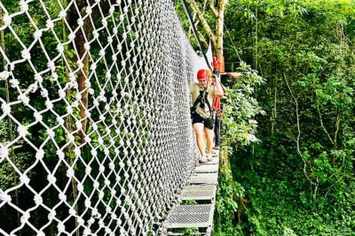 Chiang Mai 3 in 1 Zipline, Elephants and Sticky Waterfall