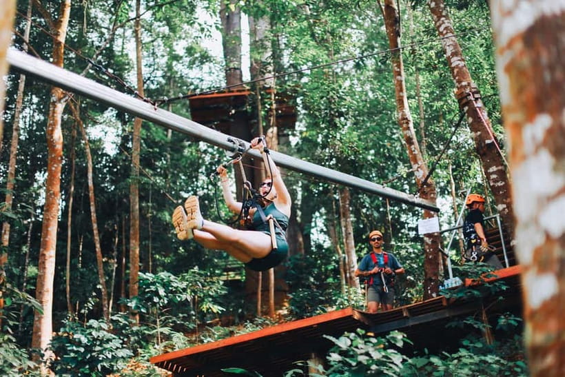 Chiang Mai: Jungle Flight Zip Line Roller Coaster - From Chiang Mai to the 1,000-year-old forest