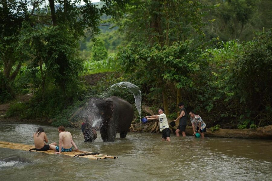 Chiang Mai: National Elephant Care, Rafting, & Ziplines Trip - Choosing Between Mae Wang Rafting and Ziplining