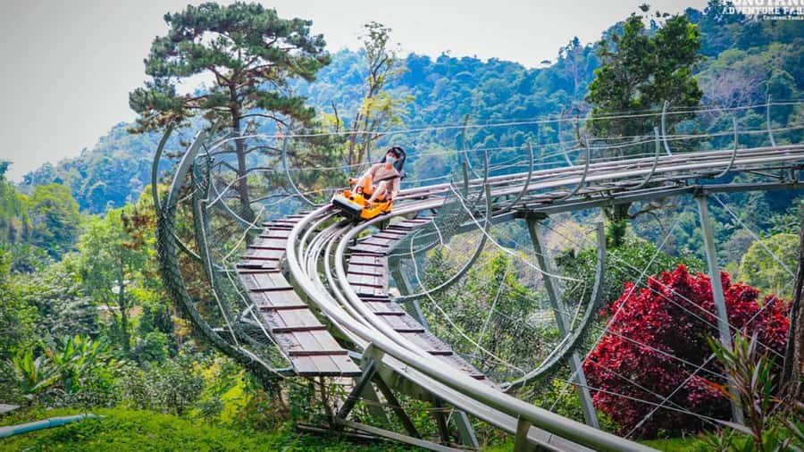 Chiang Mai: Pongyang Jungle Coaster and Zip Line Tour - Key points to know before booking