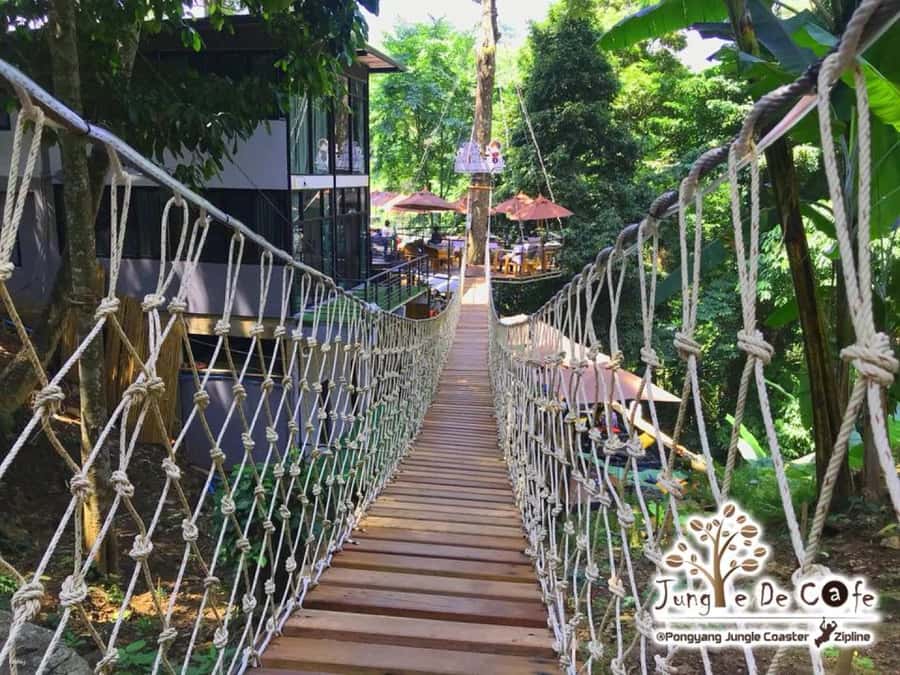 Chiang Mai: Pongyang Jungle Coaster and Zip Line Tour - Why the Pongyang coaster is the right place to start