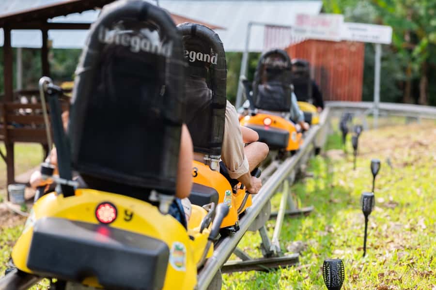 Chiang Mai: Pongyang Jungle Coaster and Zip Line Tour - What the zipline course adds