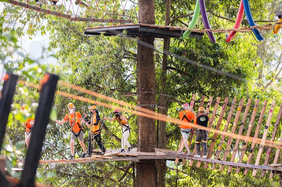 Chiang Mai: Pongyang Jungle Coaster & Zipline with Transfer - The jungle coaster: the clearest adrenaline hit
