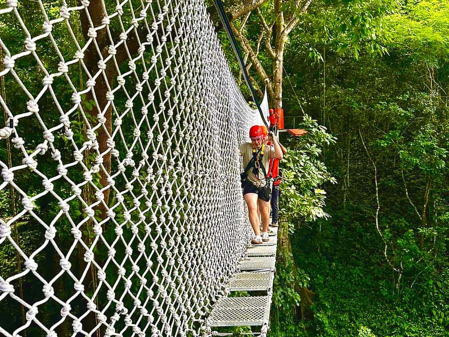 Chiang Mai: Sticky Waterfall and Zipline Adventure Day Trip - Key points to know before you book