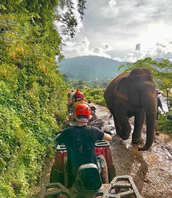 Chiang Mai: Tarzan ATV Ride Optional Zipline & Elephant Tour - Option B: 19 zipline platforms and elephant care