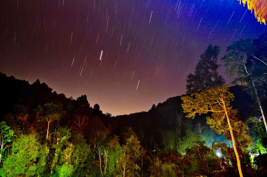 Chiang Mai: Tree House Stay & Jungle Zip-Lining - Booking details that matter
