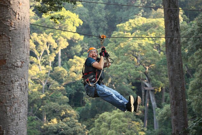 Chiang Mai Zip Line Experience - Morning or afternoon: which slot suits you?