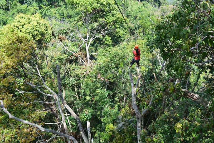 Chiang Mai: Zipline Adventure at Skyline Jungle Luge - Lunch, fruit, and the short forest walk