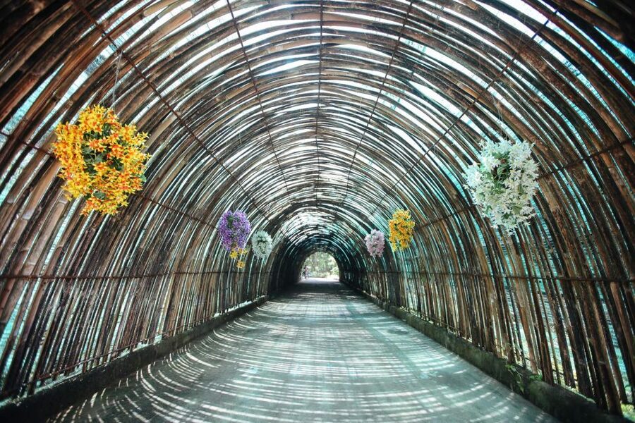 Chiang Mai: Zipline Adventure at Skyline Jungle Luge - Is $86 per person fair value?